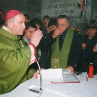 Celebrazione e Benedizione della Statua di Paolo VI